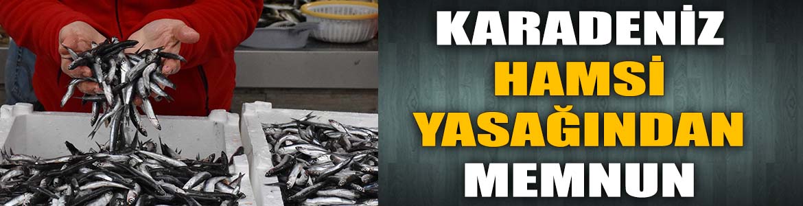BALIKÇILAR HAMSİ AV YASAĞINDAN MEMNUN!