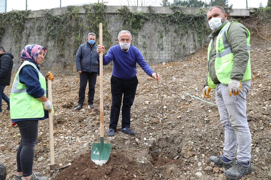 BAŞKAN GÜLER'DEN HER İLÇEYE AYRI MEYVE