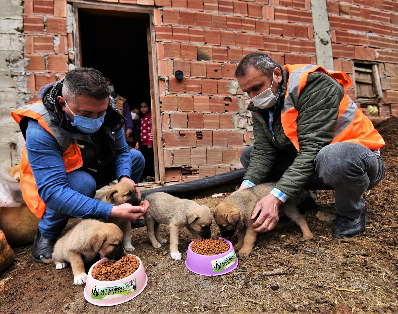 ALTINORDU BELEDİYESİ EKİPLERİ O CANLARA DA ULAŞTI