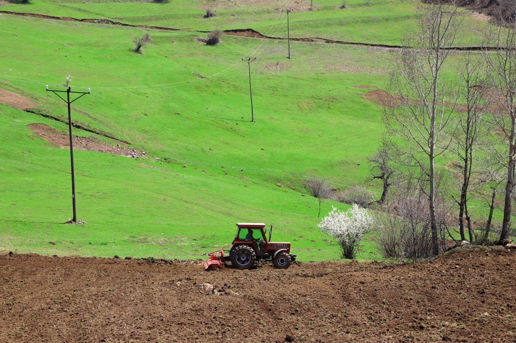 ORDU’NUN ATIL ARAZİLERİ YENİDEN TARIMLA BULUŞTU