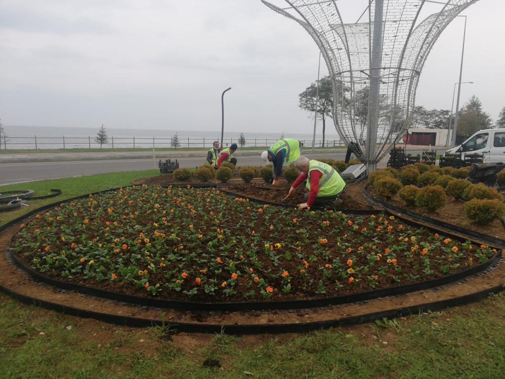 ORDU’DA MEVSİMLİK ÇİÇEKLER TOPRAKLA BULUŞUYOR