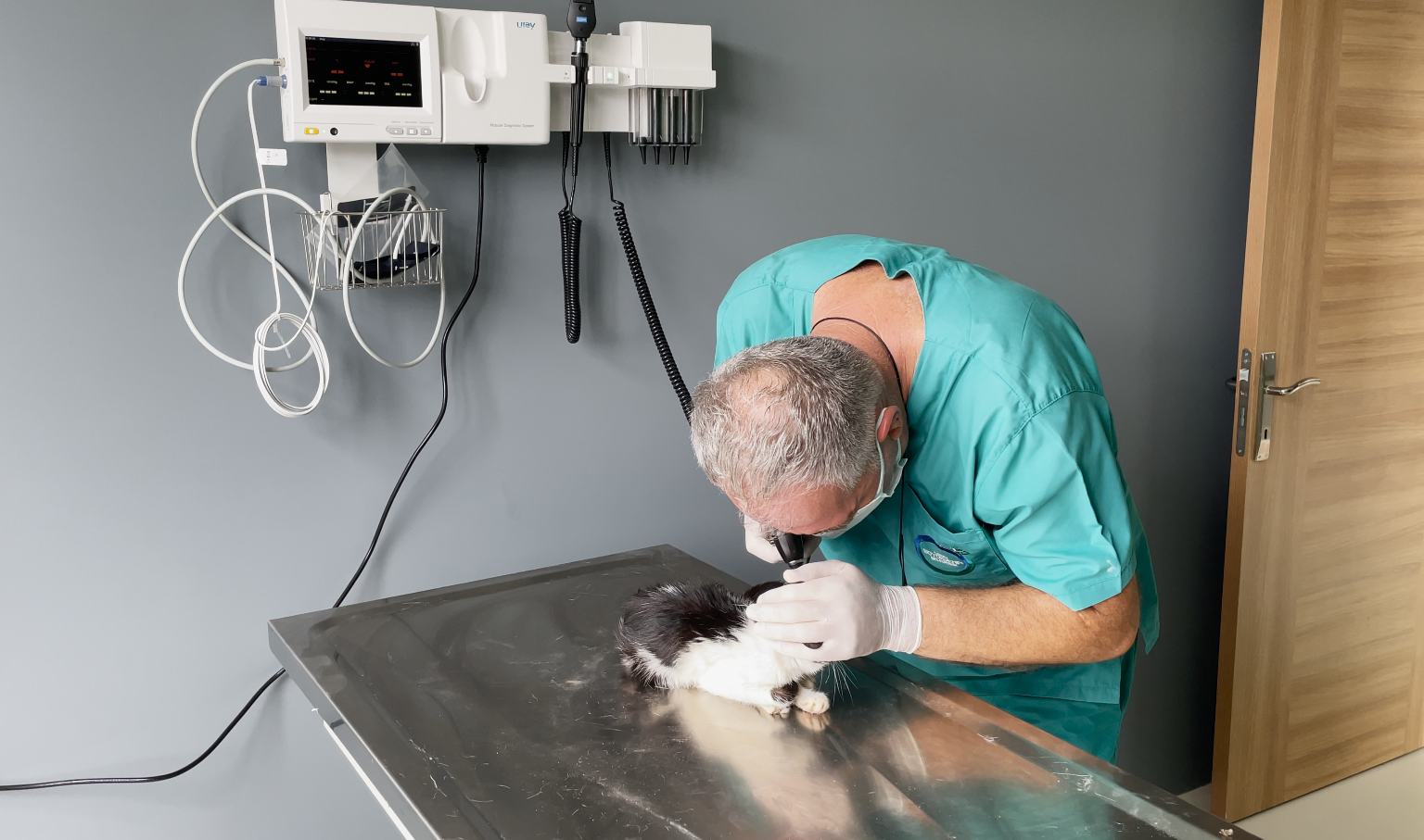 DOSTLARIMIZ BURADA HAYATA TUTUNDU