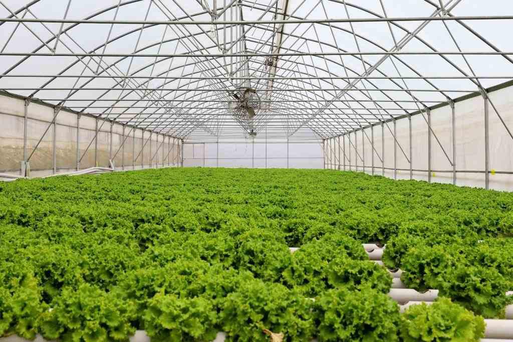 18 BİN DÖNÜM ARAZİ TARIMA KAZANDIRILDI