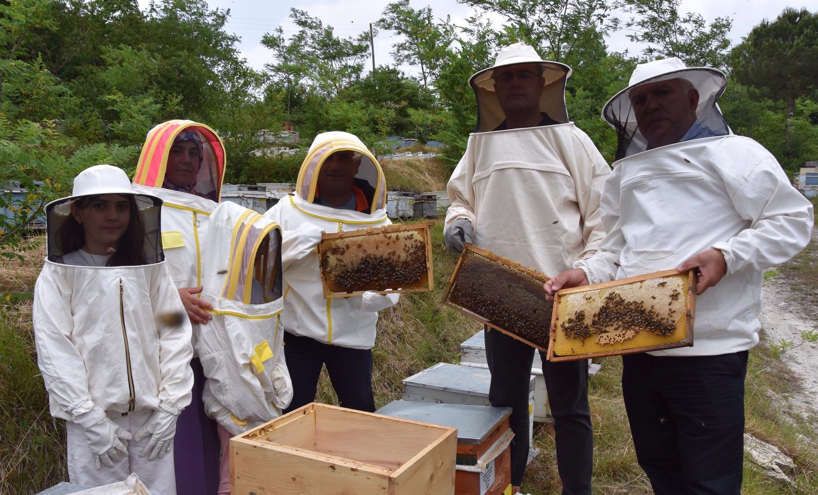 Arıcılara Polen Toplama Tuzağı Desteği