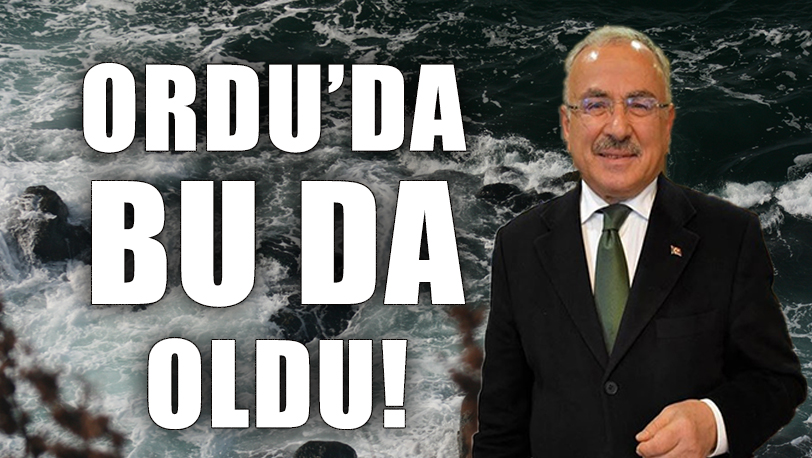 Dünyanın En Büyük Dalga Enerjisi Santrali Ordu’da Kuruluyor!